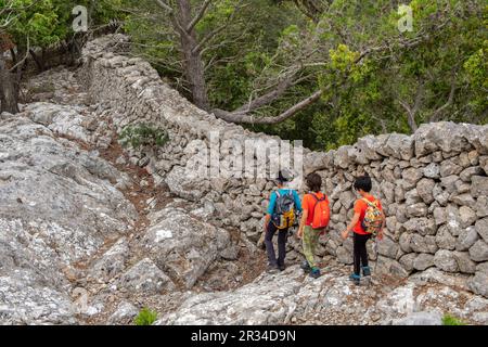 Muro di pietra tradizionale - Pedre en sec - Fita del RAM, Esporles, paesaggio naturale della Serra de Tramuntana, Maiorca, isole baleari, Spagna. Foto Stock