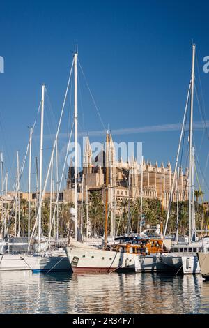 Catedral de Palma desde Moll de la Riba, Palma di Mallorca, Islas Baleares, España, Europa. Foto Stock