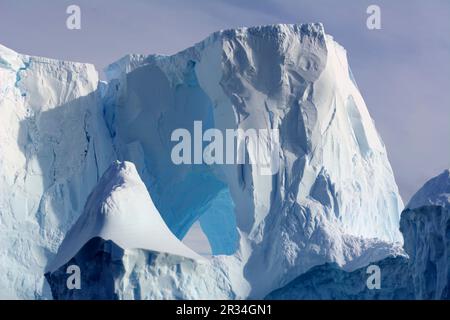 Formazioni di iceberg e ghiacciai in Antartide Foto Stock