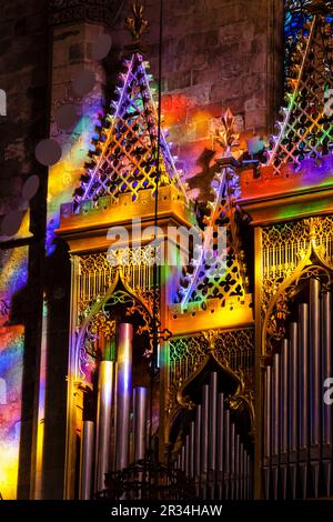 Giochi di luce provocata dal rosone maggiore, Cattedrale di Mallorca , 13th ° secolo, monumento storico-artistico, Palma, maiorca, isole baleari, spagna, europa. Foto Stock