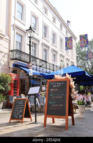 Installazioni floreali sul tema 'Into the Wild' su Motcomb ed Elizabeth Streets per Belgravia in Bloom 2023, in coincidenza con il Chelsea Flower Show, nel SW London, Regno Unito Foto Stock