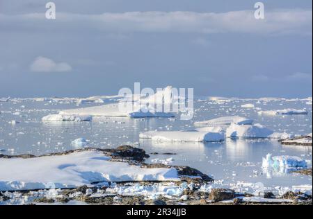 Formazioni di iceberg e ghiacciai in Antartide Foto Stock