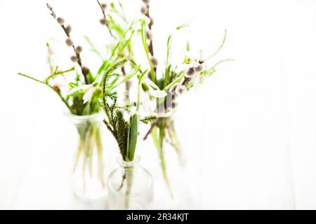 Snowdrops bottiglie Foto Stock