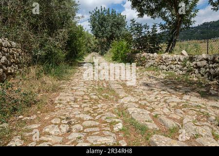 Camino de Bànyols, Alaró, Maiorca, isole Baleari, Spagna. Foto Stock