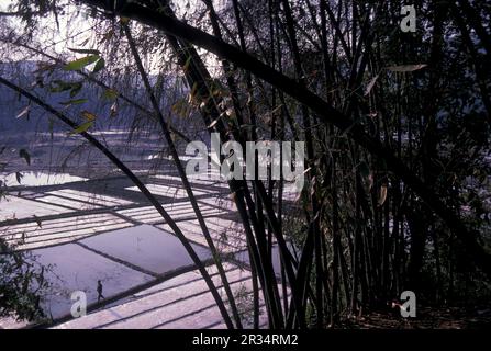 Agricoltura e paesaggio nella città di Dalì sul lago Er Hai nella provincia di Yunnan in Cina nell'Asia orientale. Cina, Yunnan, aprile 1996 Foto Stock