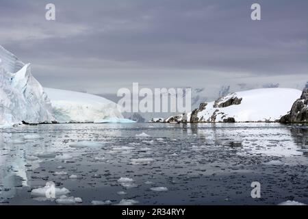 Barca a vela Yacht Cruising spedizione in Antartide Foto Stock