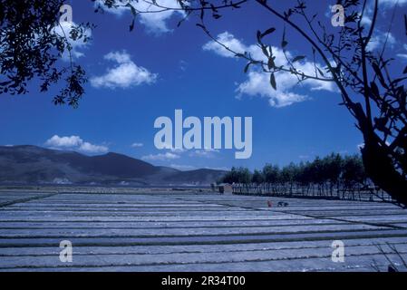 Agricoltura e paesaggio nella città di Dalì sul lago Er Hai nella provincia di Yunnan in Cina nell'Asia orientale. Cina, Yunnan, aprile 1996 Foto Stock