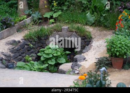 Chelsea, Londra, Regno Unito. 22nd maggio, 2023. Il Savills Garden progettato da Mark Gregory al RHS Chelsea Flower Show. Il giardino evoca l'esperienza di un intimo giardino murato di un immaginato hotel di campagna, caratterizzato da un contemporaneo potager stagionale che offre sia un santuario che una fonte del meglio dei sapori. Credit: Maureen McLean/Alamy Live News Foto Stock