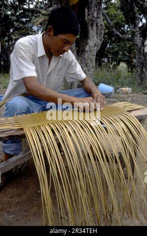 San Francisco de Yuruani. Gran Sabana. Estado de Bolivar. Venezuela. Foto Stock