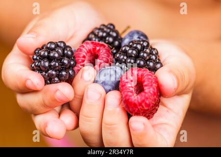 Bacche di mani Foto Stock