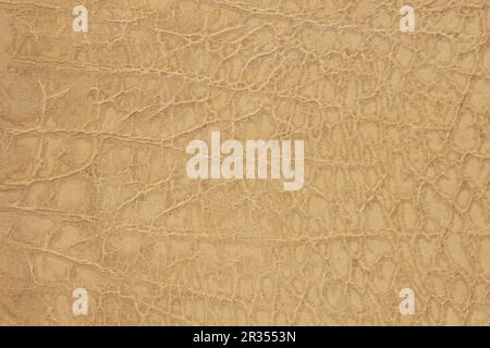 Texture in vera pelle marrone giallo primo piano con rughe e crepe, goffrate sotto la pelle del rettile, fondo naturale Foto Stock