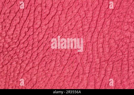 Texture vera pelle, colore rosso, superficie opaca ruvida, sfondo alla moda. Concetto di shopping, produzione Foto Stock