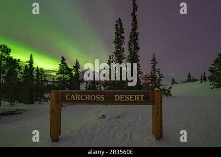 Visualizzazione dell'aurora boreale nel Canada settentrionale, territorio dello Yukon. Cartello per entrare nel deserto di Carcross con la verde aurora boreale, montagne innevate. Foto Stock