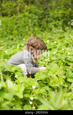 Ragazzino in giardino Foto Stock