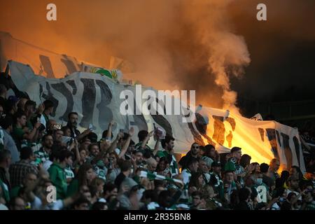 Lisbona, Portogallo. 21st maggio, 2023. Estadio Jose Alvalade, Lisbona, Portogallo, 11th 2023 aprile: Tifosi sportivi durante la partita tra Sporting CP e Benfica, valida per il 33rd° round della vittoria Liga Portugal allo stadio Jose Alvalade di Lisbona, Portogallo. (Foto di Pedro Loureiro/SPP) (Pedro Loureiro/SPP) Credit: SPP Sport Press Photo. /Alamy Live News Foto Stock