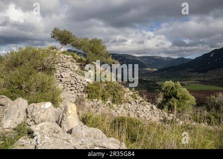 túmulo de Son Ferrandell-Son Oleza, i milenio a C., Valldemossa, Mallorca, Isole Baleari, spagna. Foto Stock