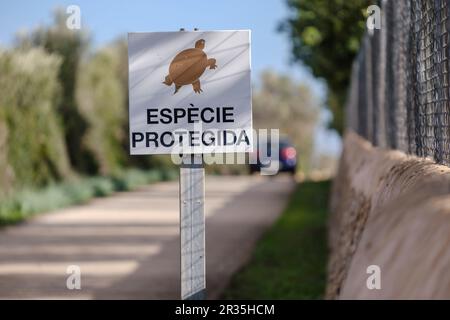 Avvertimento per la protezione della tartaruga spur-highed, Llucmajor, Mallorca, Isole Baleari, Spagna. Foto Stock