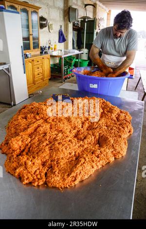 Especiado y mezcla de la sobrasada, tradicional matanza del cerdo, llucmajor,Mallorca, Islas Baleares, Spagna. Foto Stock