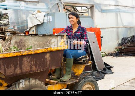 Donna contadina latinoamericana che guida un camion mini dump, guida fuori per buttare via le erbacce. Foto Stock