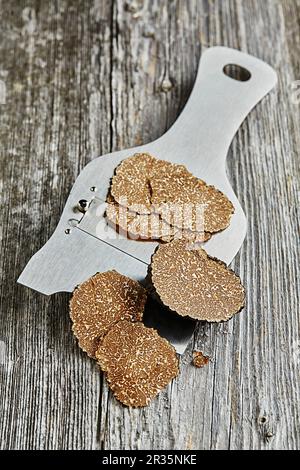 Tartufi estivi o di borgogna (Tuber blotii) affettati su una affettatrice di tartufi Foto Stock