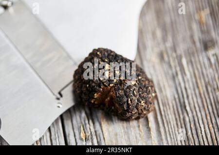 Estate o tartufi di borgogna (Tuber blotii) Foto Stock