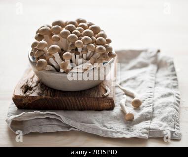 Funghi shimeji freschi in un recipiente in ceramica su un tritare Foto Stock