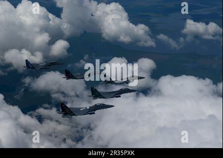 Cinque flagship F-15E Strike Eagle assegnate alla 4th Fighter Wing volare in formazione durante un volo storico su Goldsboro, North Carolina 5 maggio 2023. I 4th FW e i 333rd, 334th, 335th e 336th Fighter Squadrons' dipingono le loro bandiere F-15E Strike Eagle per commemorare il patrimonio dell'ala e celebrare gli uomini e le donne che hanno spianato la strada all'ala. La storia è iniziata con gli squadroni dell'Aquila della Royal Air Force, sviluppati sotto leader come il Colon. Don Blakeslee ha illustrato sulla nave ammiraglia dell'ala, che si è distinto come il primo di molti che ha aiutato la transizione dell'ala attraverso numerose titl Foto Stock