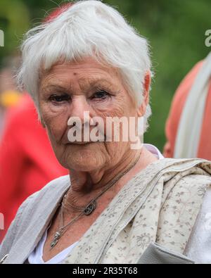 Londra, Regno Unito. 22 maggio 2023. Dame Judi Dench, attrice, primo piano. Press Day all'annuale RHS Chelsea Flower Show, che espone design, prodotti, esposizioni floreali e tutto ciò che riguarda l'orticoltura dal 23 al 27 maggio. Crediti: Imageplotter/Alamy Live News Foto Stock