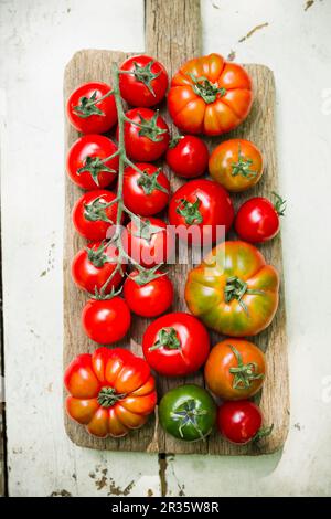 Vari tipi di pomodori su una tavola di legno Foto Stock