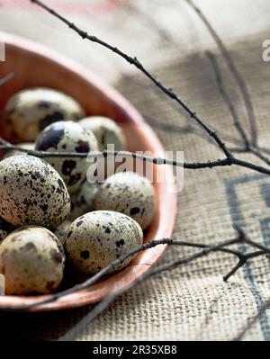 Uova di Quail in una ciotola di legno Foto Stock