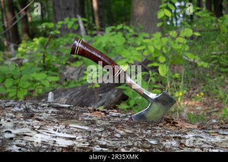 Hatchet nella foresta Foto Stock