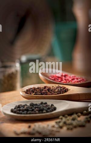 Vari tipi di grani di pepe su cucchiai di legno Foto Stock