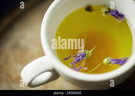 Calda tè alle erbe con sciolto zucchero candito Foto Stock