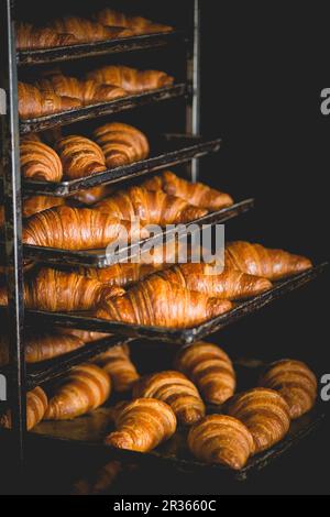 Cornetti caldi su vassoi da forno Foto Stock