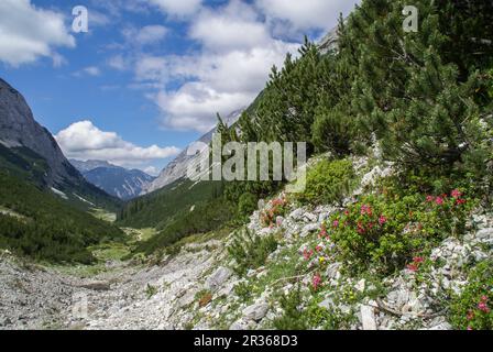 Escursioni a piedi nella Valle di Gleirsch, Monti Karwendel, Tirolo, Austria Foto Stock