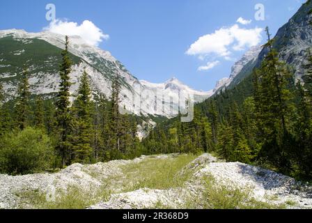 Escursioni a piedi nella Valle di Gleirsch, Monti Karwendel, Tirolo, Austria Foto Stock