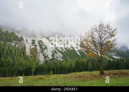 Escursioni a piedi nella Valle di Gleirsch, Monti Karwendel, Tirolo, Austria Foto Stock