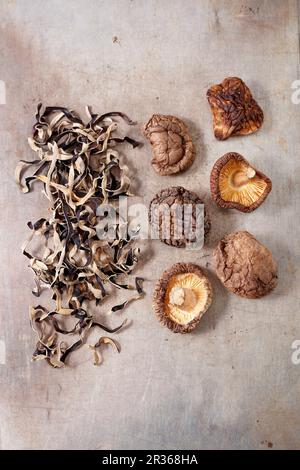 Funghi asiatici secchi vari Foto Stock