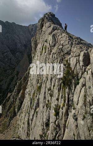 Morro d'en Pelut, 1319 metro. Escorca.Sierra de Tramuntana.Mallorca.Islas Baleares. España. Foto Stock