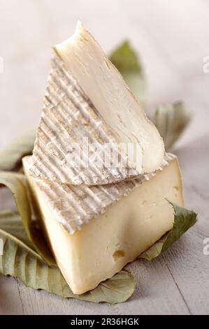 Scimudin (formaggio dalla Lombardia, Italia) Foto Stock