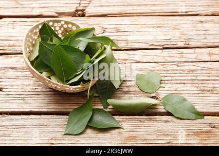 Foglie di curry su una superficie di legno Foto Stock