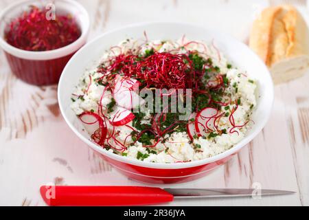 Ricotta con erba cipollina, ravanelli e germogli di barbabietole Foto Stock