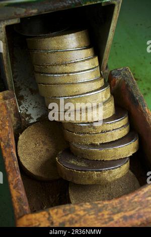 I semi di zucca olio essendo realizzati Foto Stock
