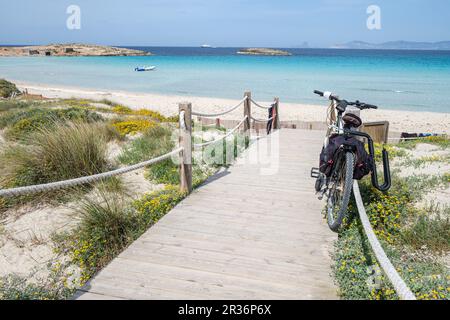 Kitesurf sulla spiaggia Illete Formentera, Isole Pitiusas, Comunità Balearic, Spagna. Foto Stock
