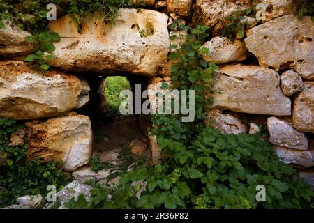 Poblado talaiótico de Els Antigors (Edad de Bronce).Ses Salines.Mallorca.Baleares.España. Foto Stock