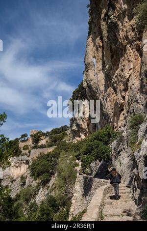 Percorso acciottolato per il castello di Alaro, Alaro, Maiorca, Isole Baleari, Spagna. Foto Stock