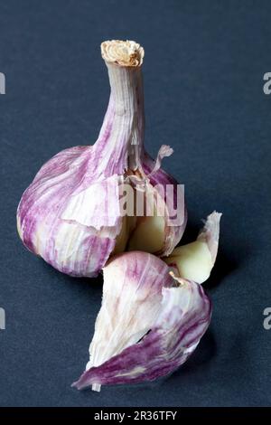 Bulbo d'aglio, rotto aperto Foto Stock