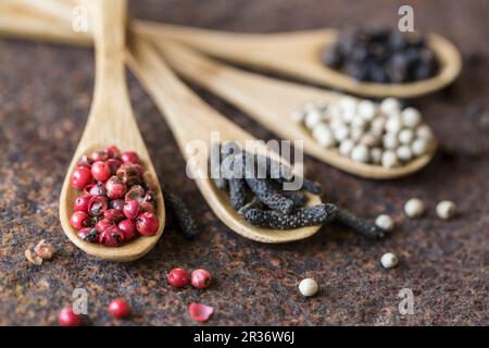 Quattro diversi tipi di pepe su cucchiai di legno Foto Stock