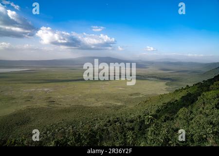 Vista del cratere di Ngorongoro dal bordo est, Ngorongoro Conservation Area, Tanzania, Africa orientale Foto Stock