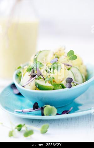 Insalata di patate con salsa al cetriolo e al curry e yogurt Foto Stock